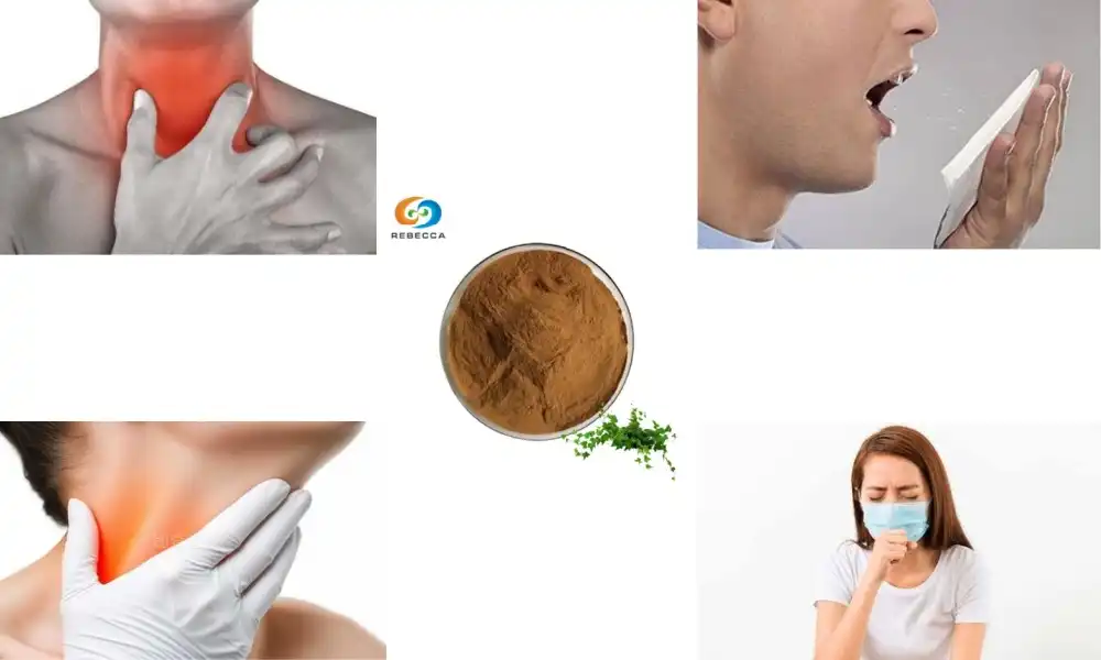Does ivy leaf extract help with cough?